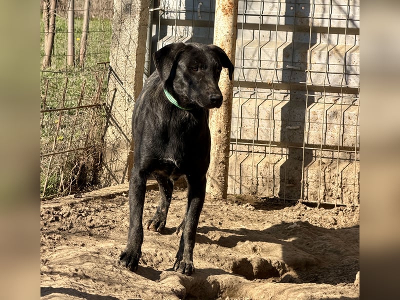 Vadim freut sich auf Euch!