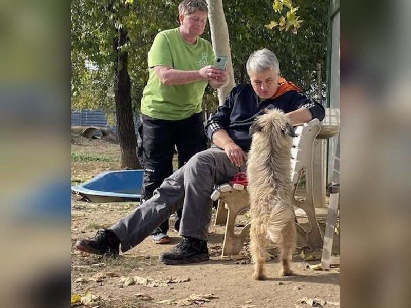 Kadarka, süß, freundlich und zutraulich