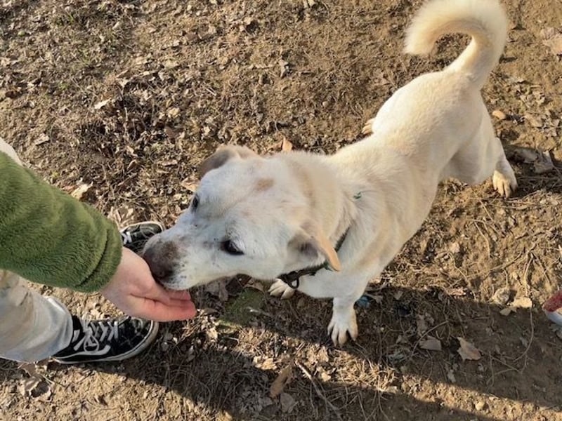 Paul möchte auf der Reise in ein glückliches Leben begleitet werden
