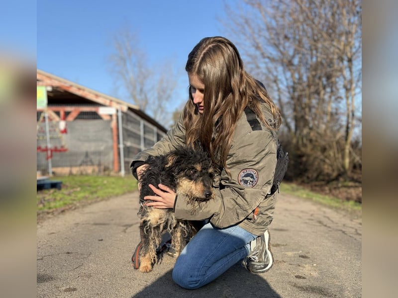 Bruno, freundlich und aktiv