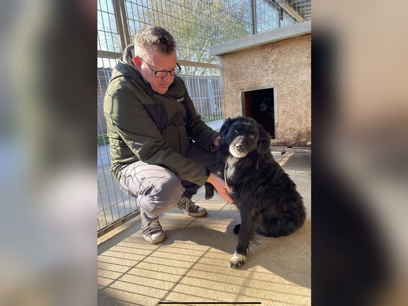 Morzsi, freundliche Seniorin sucht warmes Plätzchen