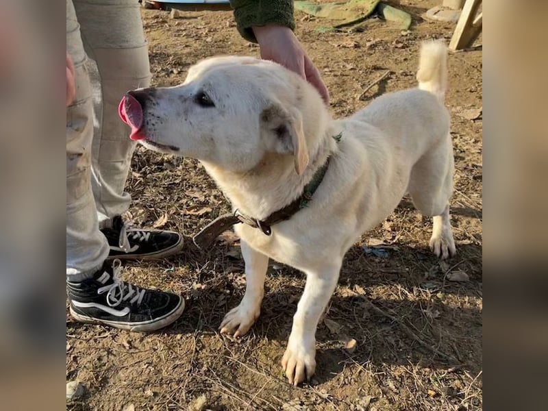 Paul möchte auf der Reise in ein glückliches Leben begleitet werden
