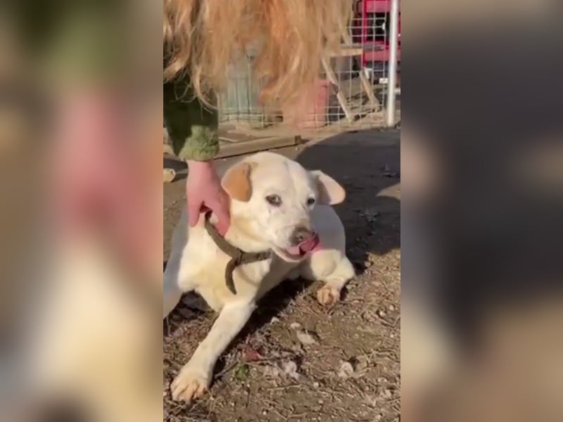 Paul möchte auf der Reise in ein glückliches Leben begleitet werden