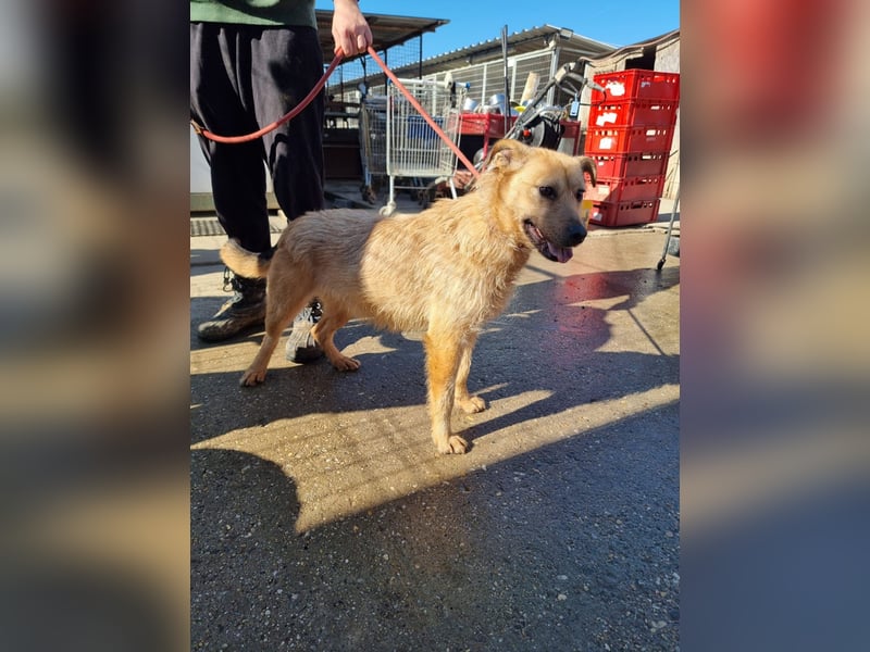 Doris, süßer kleiner Wirbelwind auf der Suche nach einem tollen Leben