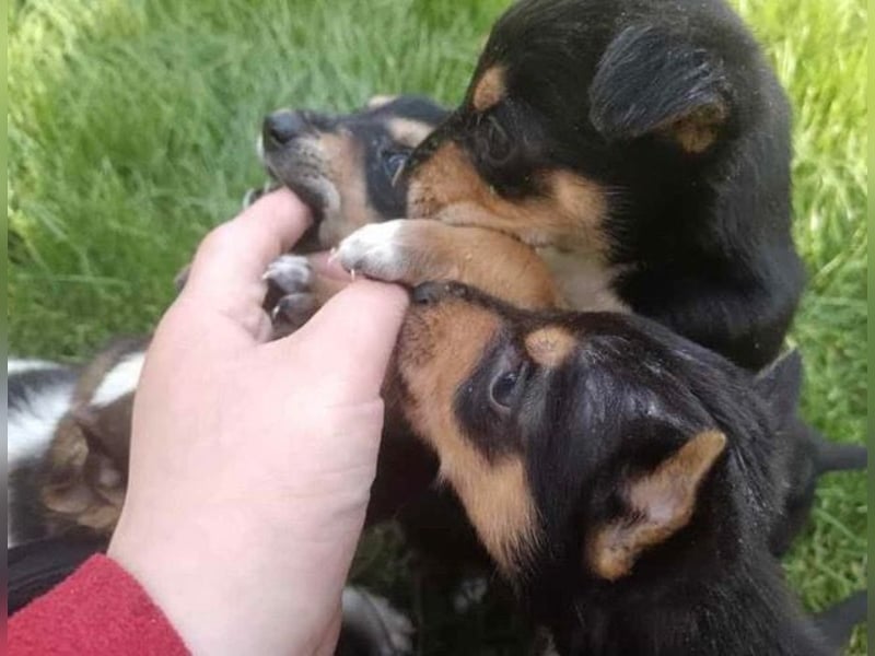 Tilda freut sich auf  dich!