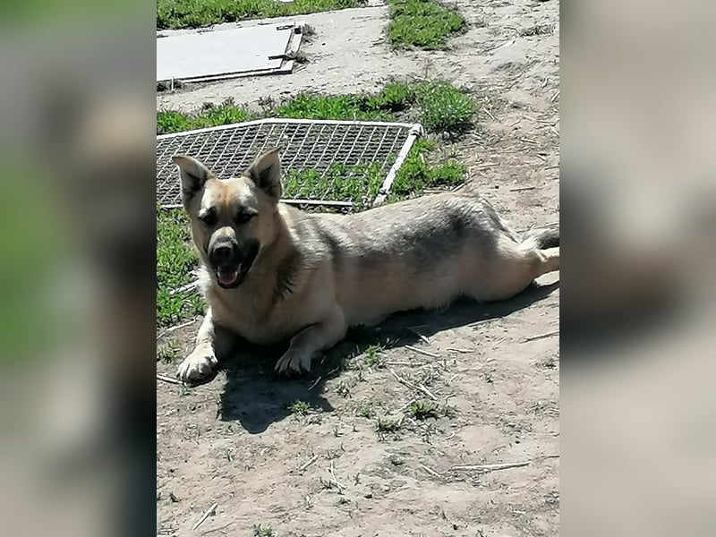 Zoral, wurde wie Müll entsorgt