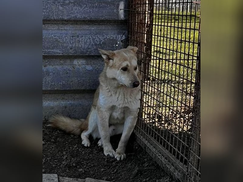 Csiriba, sucht dringend ein ruhiges Plätzchen