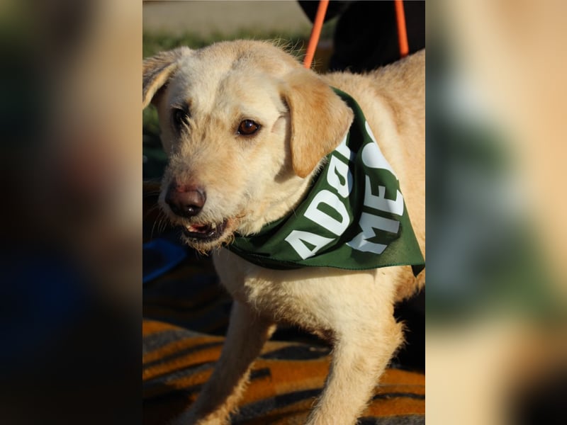 Haribo, arme Socke möchte nochmal glücklich sein