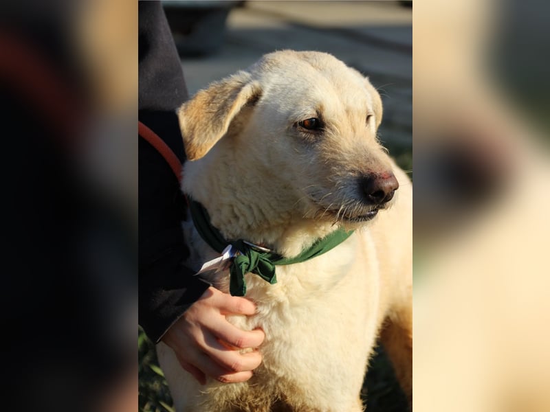 Haribo, arme Socke möchte nochmal glücklich sein