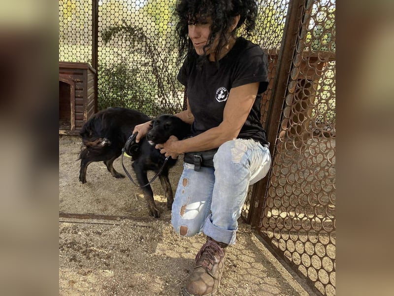 Liget, süße Hundemama sucht ihre Familie