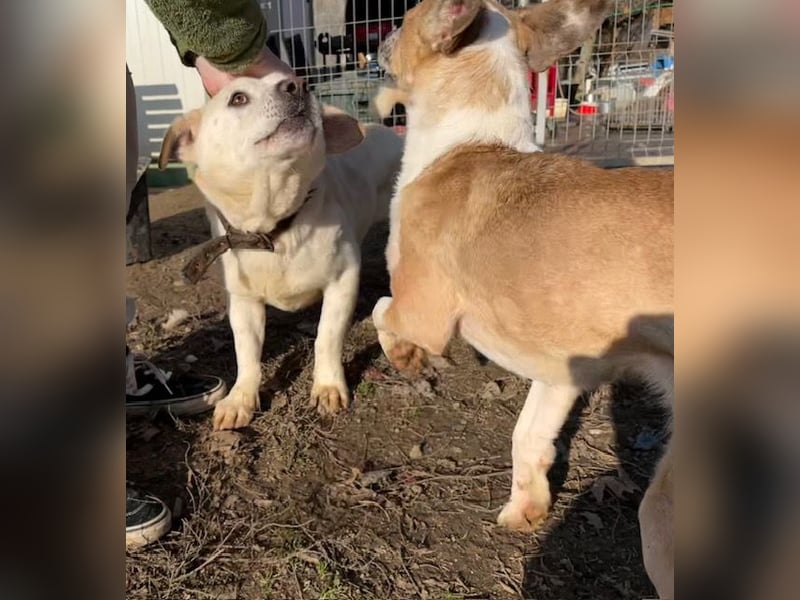 Paul möchte auf der Reise in ein glückliches Leben begleitet werden