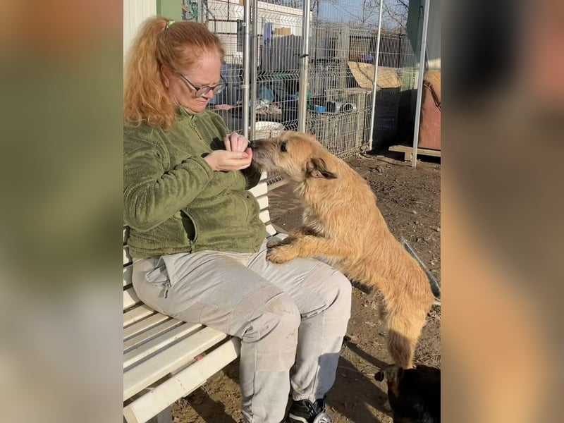 Getto, Kleiner Schmusebär sucht….