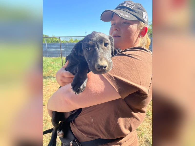 Vadim freut sich auf Euch!