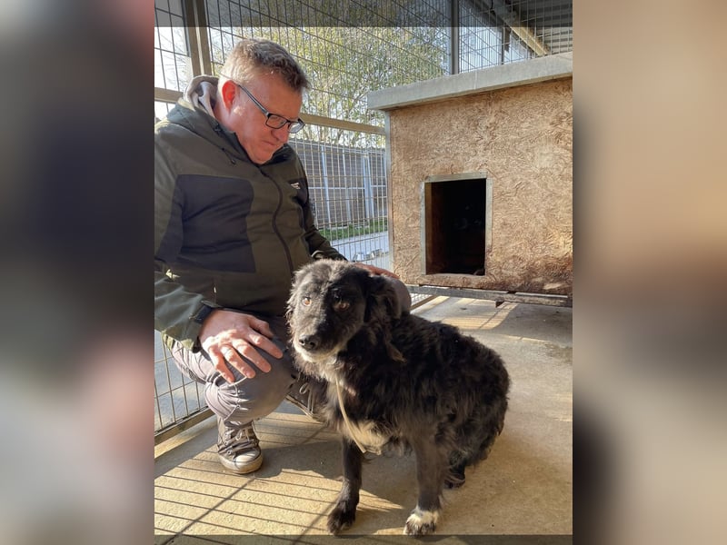 Morzsi, freundliche Seniorin sucht warmes Plätzchen