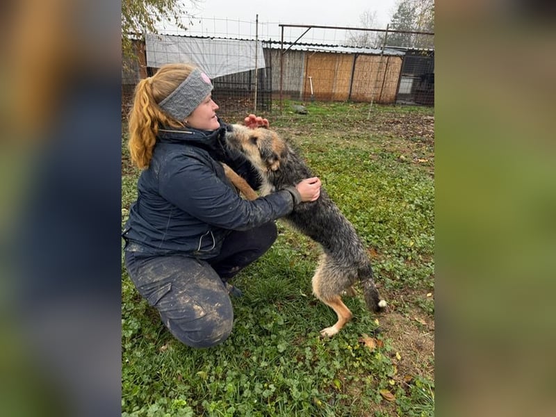 Ina, verspielt und freundlich