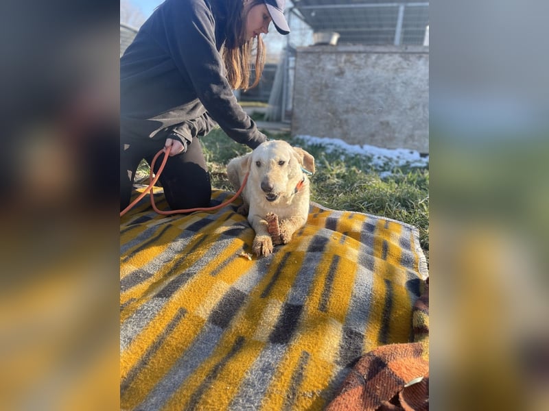 Haribo, arme Socke möchte nochmal glücklich sein