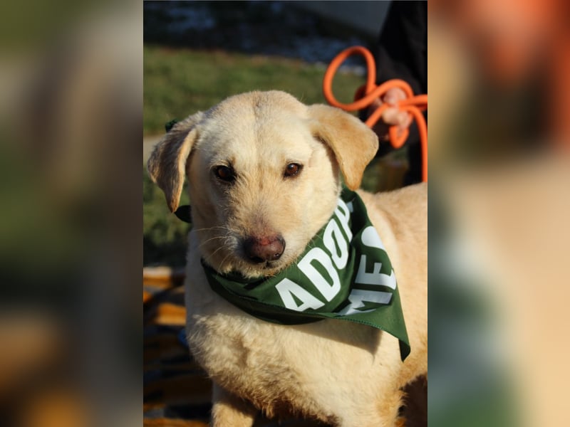 Haribo, arme Socke möchte nochmal glücklich sein