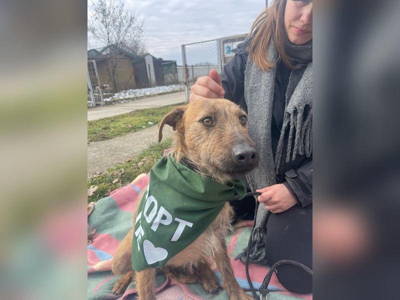 Bukta,möchte in seinem neuen Zuhause ankommen