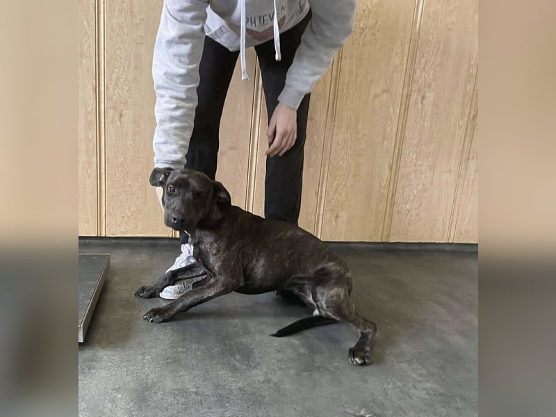 Adidas, sportlich und aktiv