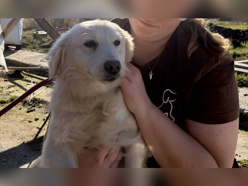 Marie, süße Maus freut sich auf eine eigene Familie