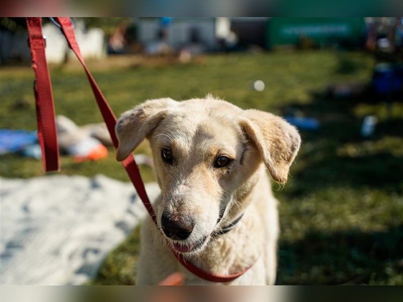 Haribo, arme Socke möchte nochmal glücklich sein