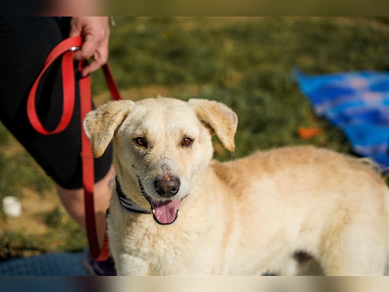 Haribo, arme Socke möchte nochmal glücklich sein