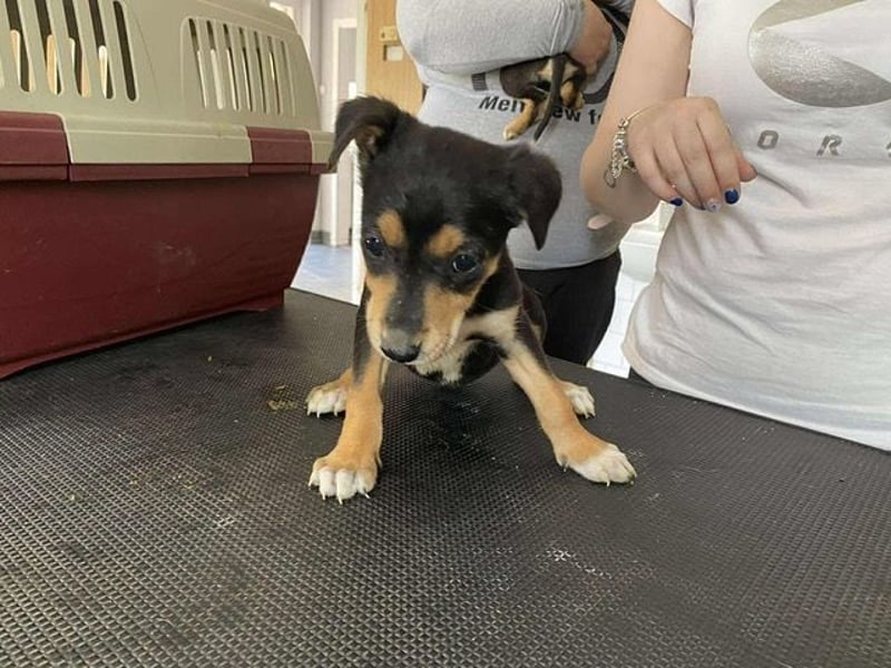 Tilda freut sich auf  dich!