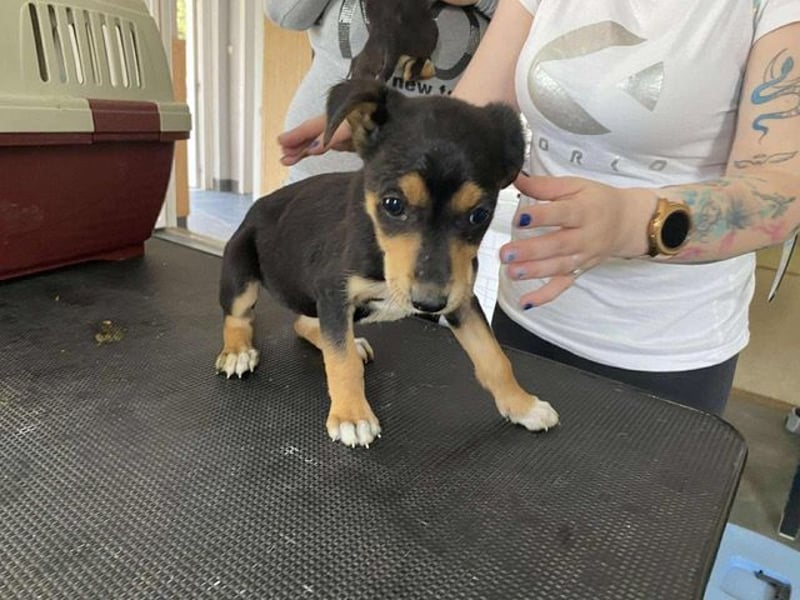 Tilda freut sich auf  dich!