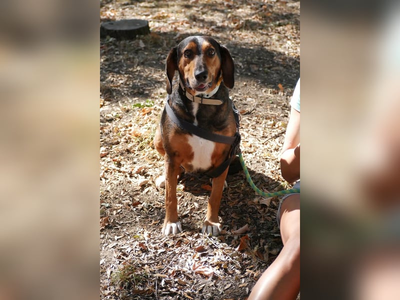 Dory - wartet nun schon so lange auf ihre Familie!