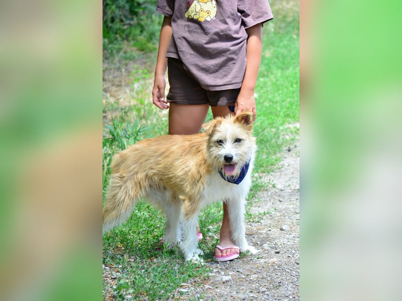 Roschko sucht sein Für-Immer-Zuhause