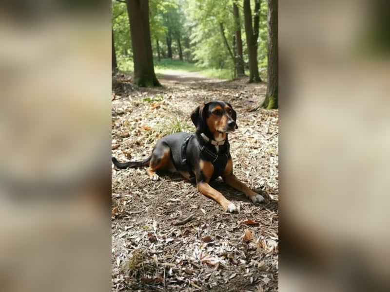 Dory - wartet nun schon so lange auf ihre Familie!