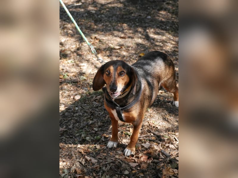 Dory - wartet nun schon so lange auf ihre Familie!