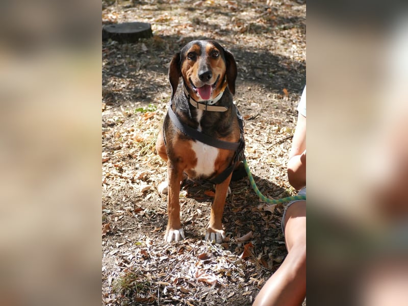 Dory - wartet nun schon so lange auf ihre Familie!