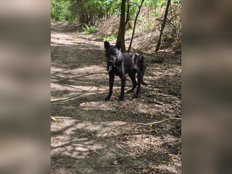 Apollo sucht sicheren Hafen!