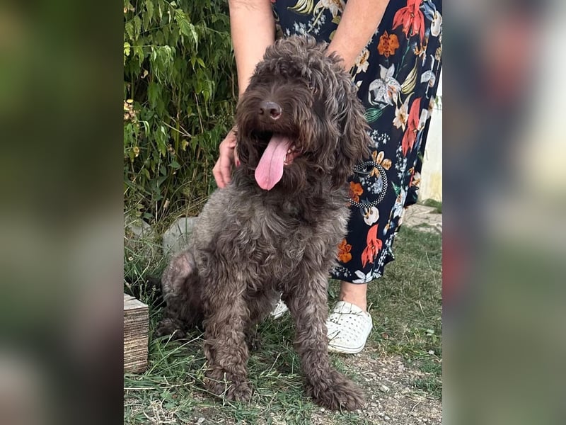 ROCCO (*2024) auf der Suche nach seinem Glück