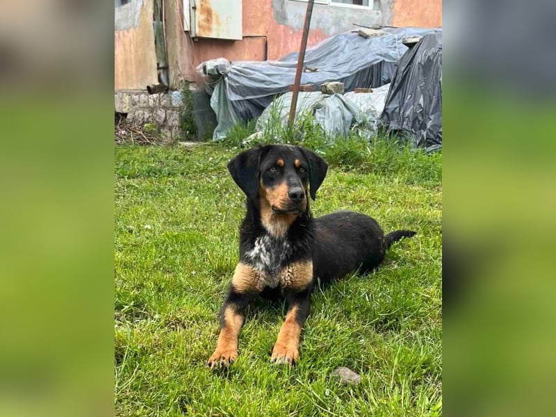 LUNA (*2025) auf der Suche nach ihrem Glück