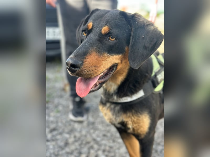 LUNA (*2025) auf der Suche nach ihrem Glück