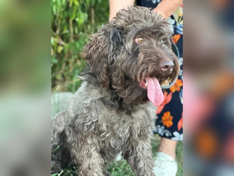 ROCCO (*2024) auf der Suche nach seinem Glück