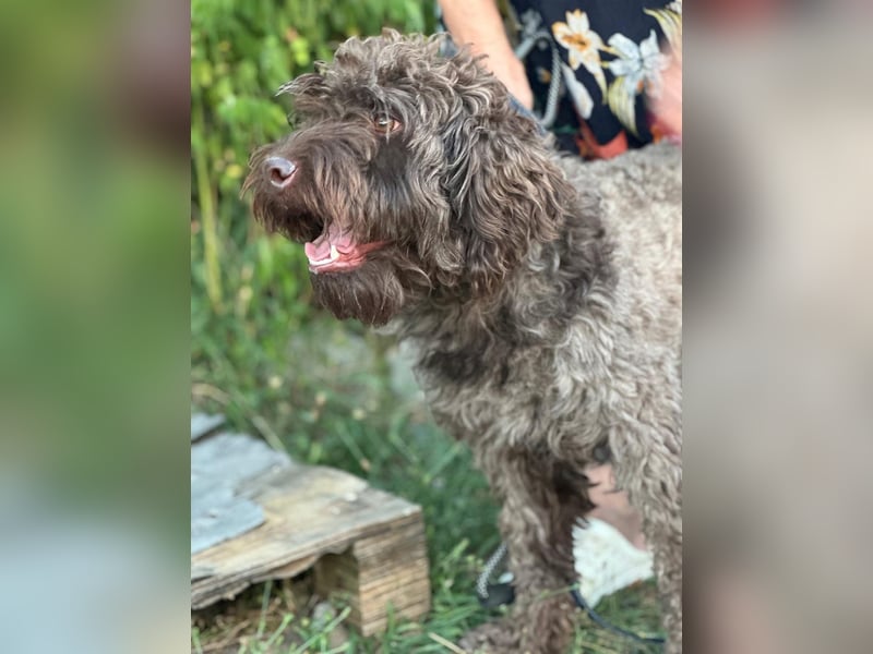 ROCCO (*2024) auf der Suche nach seinem Glück