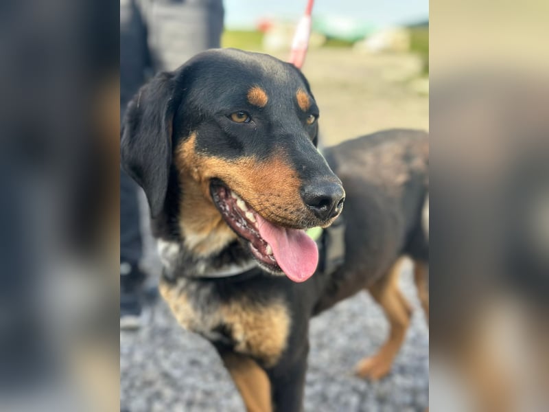 LUNA (*2025) auf der Suche nach ihrem Glück