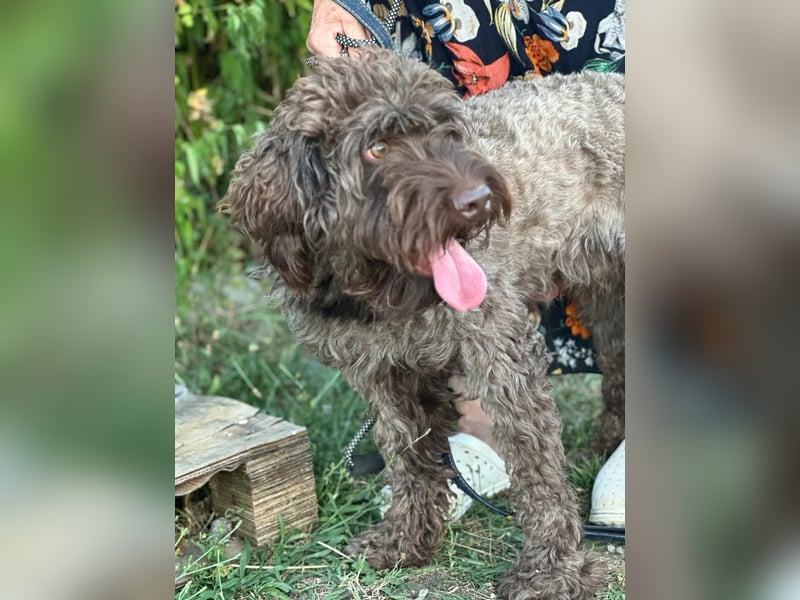 ROCCO (*2024) auf der Suche nach seinem Glück