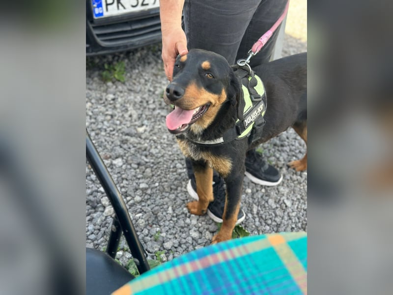 LUNA (*2025) auf der Suche nach ihrem Glück