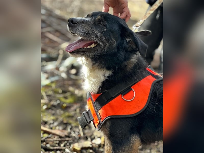 MAX (*2021) sucht ein liebevolles Zuhause