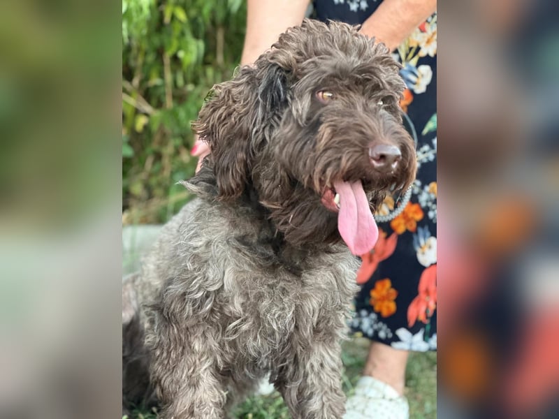 ROCCO (*2024) auf der Suche nach seinem Glück