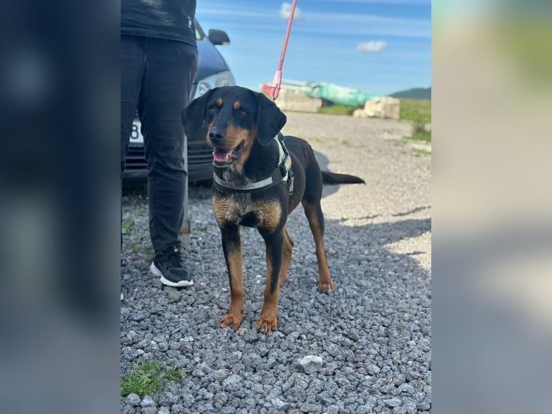 LUNA (*2025) auf der Suche nach ihrem Glück