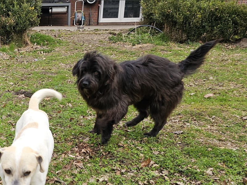Zuhause gesucht für Zuckerschnute Cherry