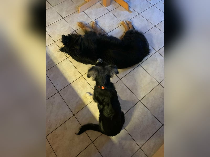 RONDA ❤  wartet in 42281 Wuppertal auf Dich