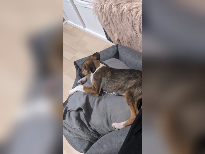 HENRIKE ❤ (wird mittlerweile „Awa“ genannt)  wartet in 90478 Nürnberg auf Dich