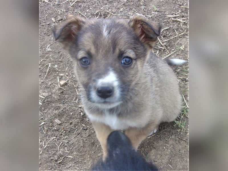 ZEETA ❤ wartet in 12349 Berlin auf DICH