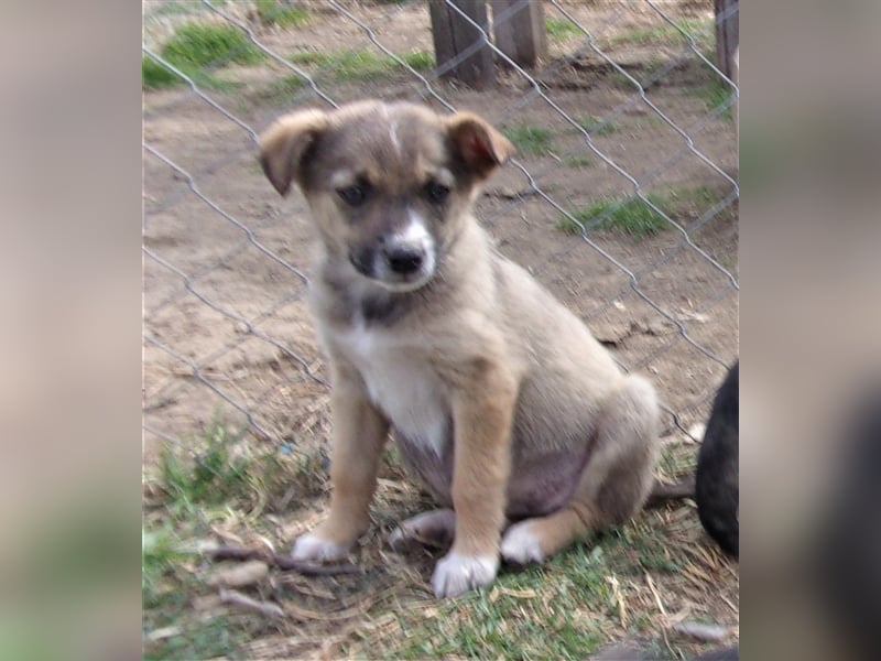 ZEETA ❤ wartet in 12349 Berlin auf DICH